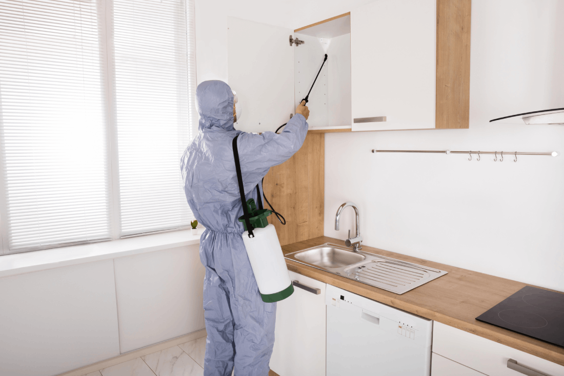 Hawx Pest Control Reviews: Quick Response and Trusted Service